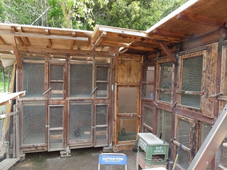 雄叫び場